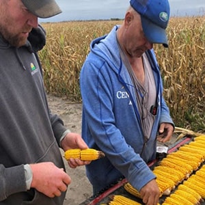 two north dakota farmers inspecting corn